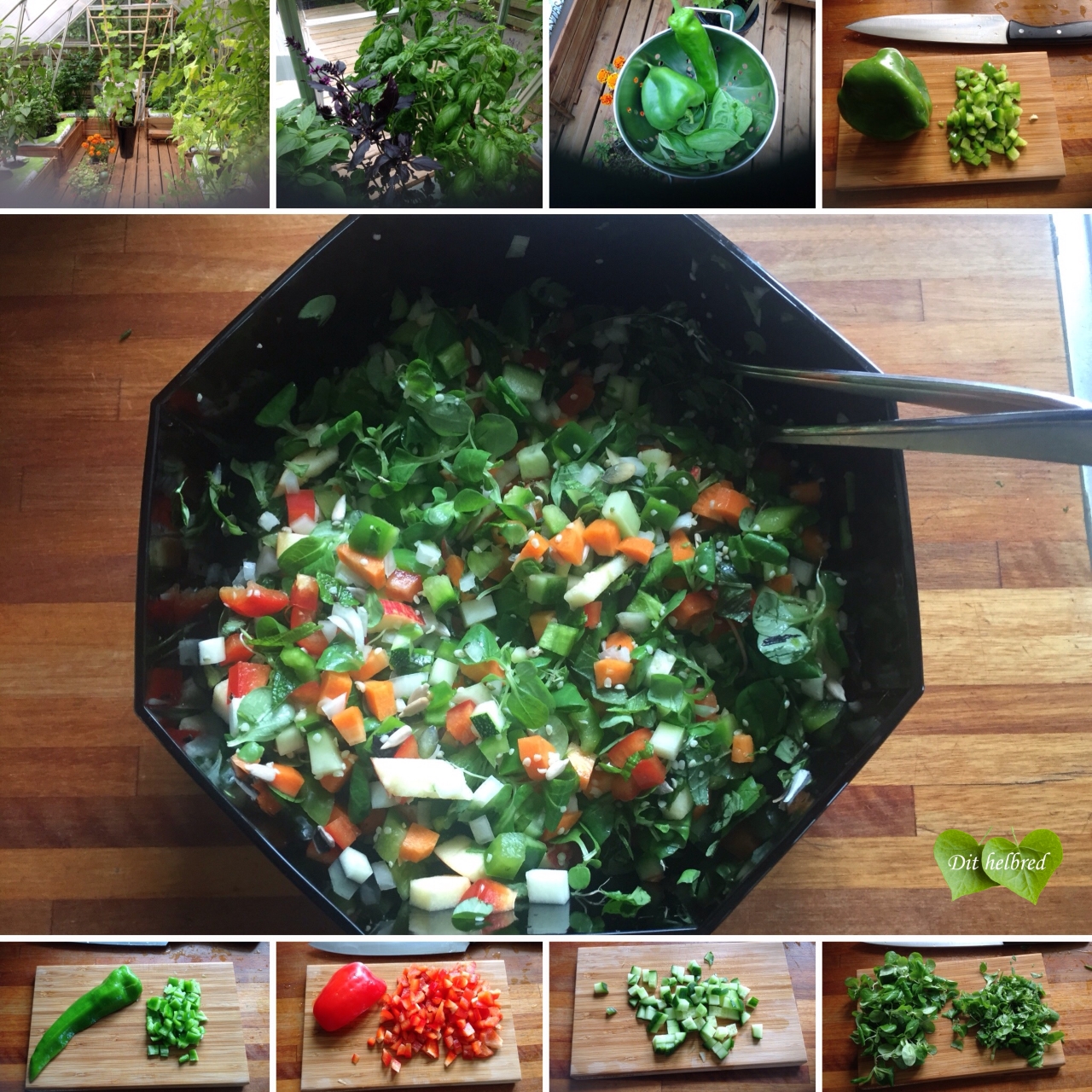 Sund Hof salat Sund Hof salat